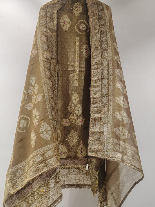 Royal Banarasi Organza Suit Set✨