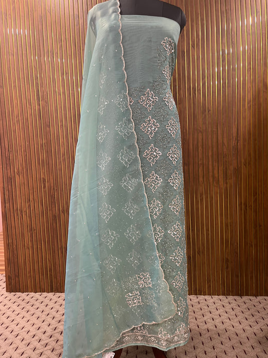 Royal tissue shimmer handwork suit with embellished duputta