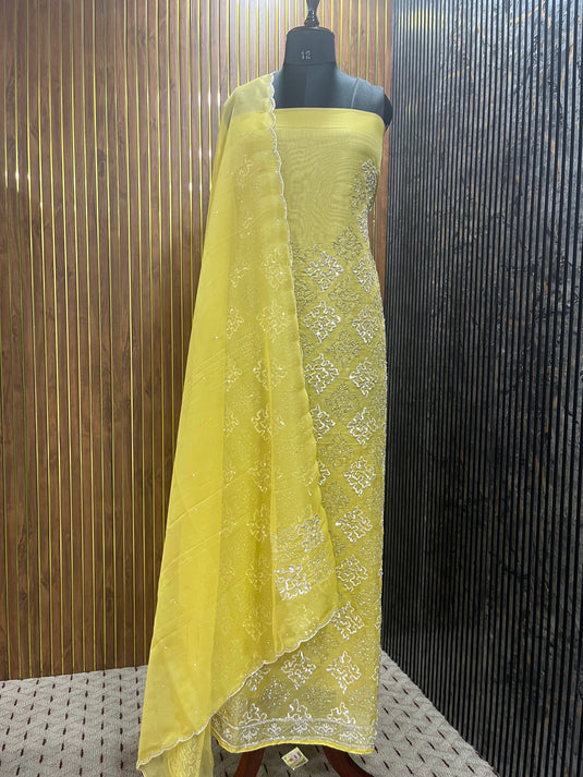 Royal tissue shimmer handwork suit with embellished duputta