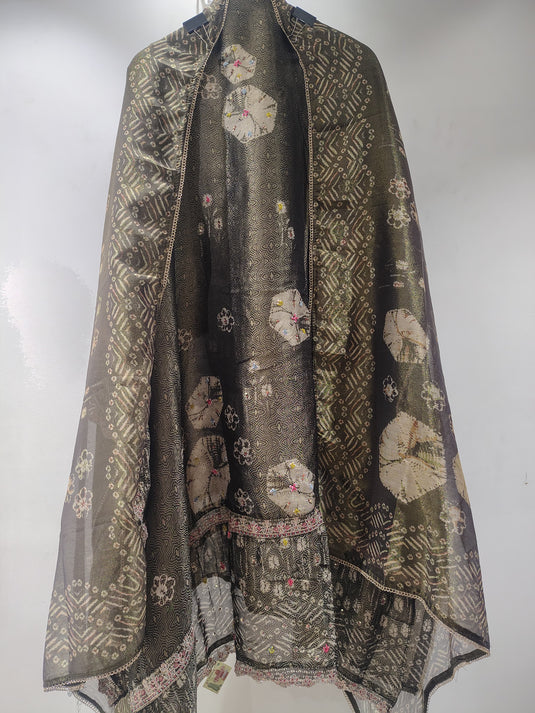Royal Banarasi Organza Suit Set✨