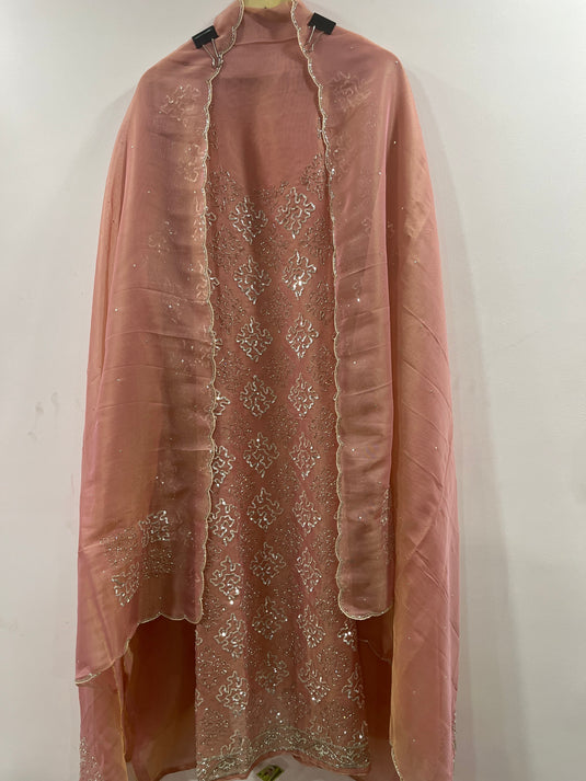 Royal tissue shimmer handwork suit with embellished duputta