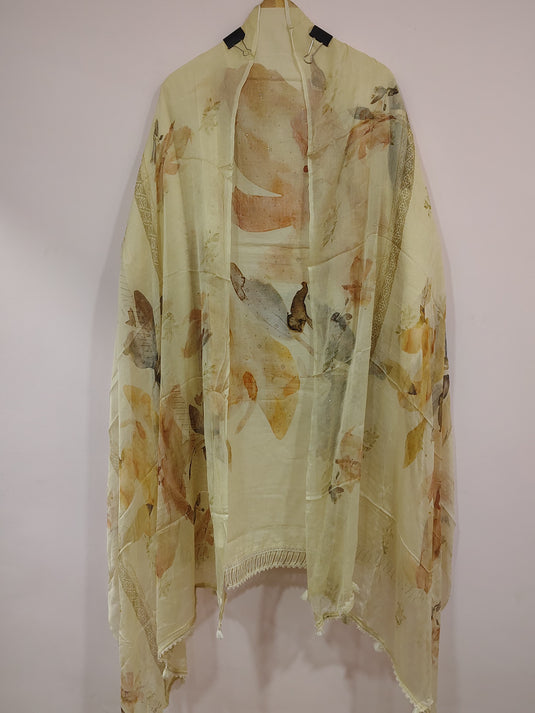 Cotton Shirt with Soft Chiffon Dupatta – Everyday Elegance