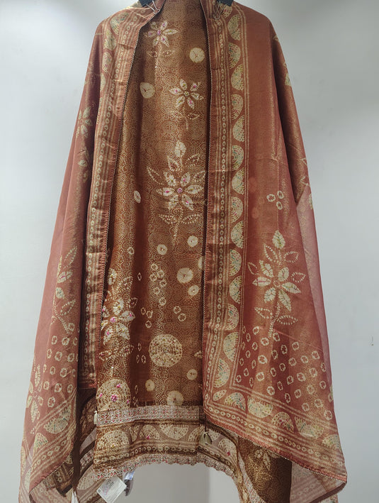 Royal Banarasi Organza Suit Set✨